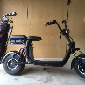 Venture GS2000 Electric Golf Scooter 2X 20AHR Samsung Batteries