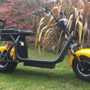 VENTURE GS2000 ELECTRIC GOLF SCOOTER 1 x 20ahr BATTERY