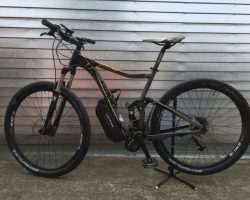 Giant Trance large. 1000w 48v 17.5ahr