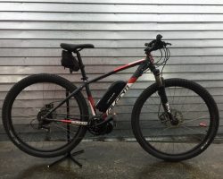 Avanti Montari 29.2 42cm 500watt 12.8ahr