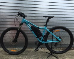 Liv Bliss small 500watt with NZ made custom 17.5ahr battery