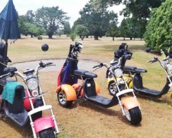 Venture Golf Trikes in action