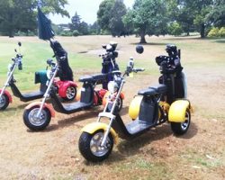 Venture Golf Trikes enjoying the sun
