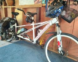 Eurobike Tandem 500watt 24.5ahr