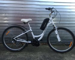 Specialized Expedition 500watt 17.5ahr